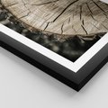 Plakat w ramie 30x40 - Wnętrze Natury - pień, przecięty pień - rama czarna