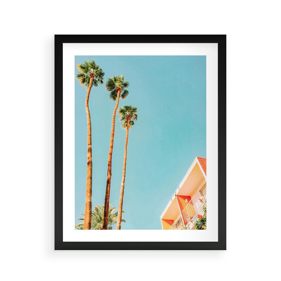 Plakat w ramie 40x50 - Letnie Marzenia - palmy, na tle nieba - rama czarna