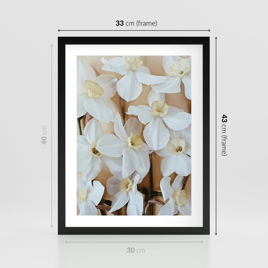 Plakat w ramie 30x40 - Białe Narcyzy - narcyzy, kwiaty - rama czarna