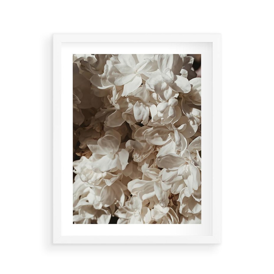 Plakat w ramie 40x50 - Płatki w Detalu - białe kwiaty, zbliżenie - rama biała