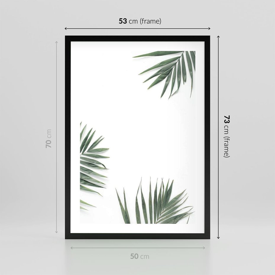 Plakat w ramie 50x70 - Liście Palmy na Czystym Tle - liście palmy, białe tło - rama czarna