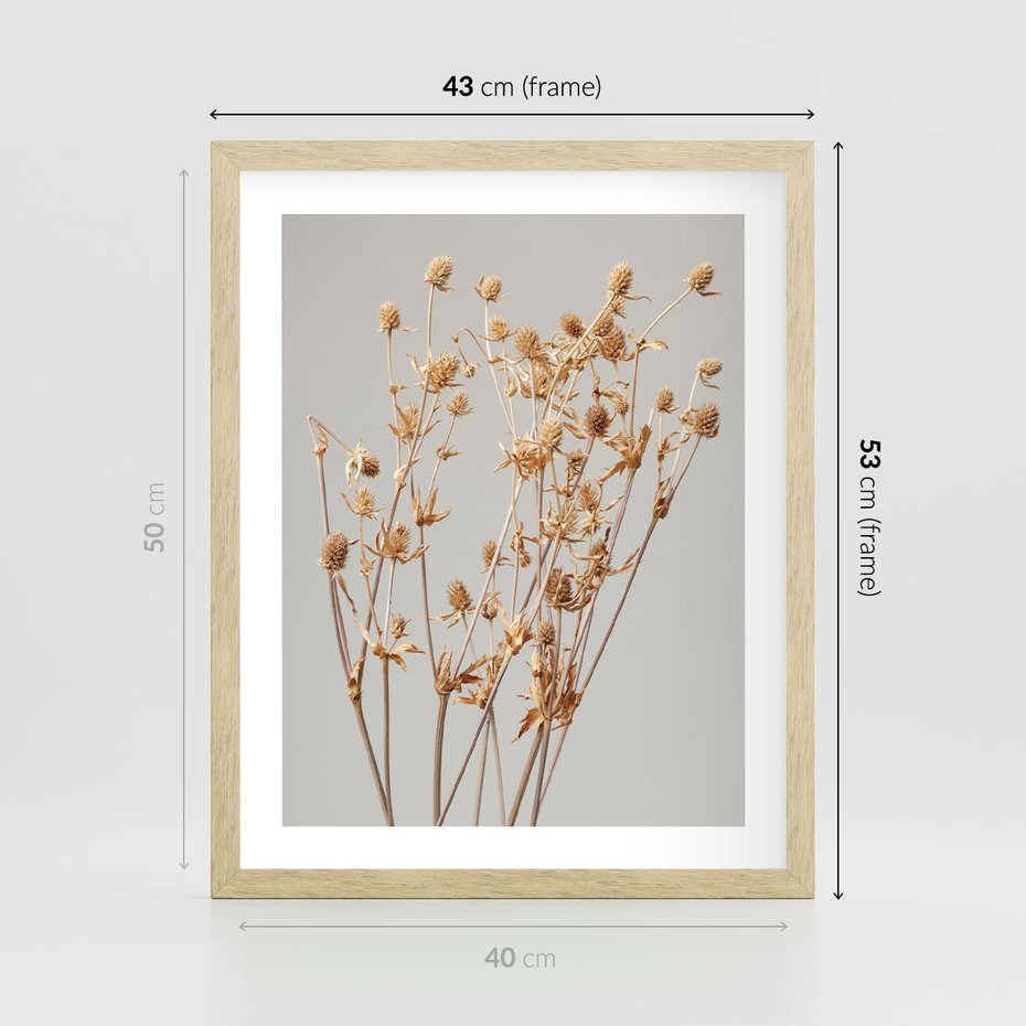 Plakat w ramie 40x50 - Delikatne gipsówki - gipsówka, suche - rama drewno