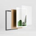 Plakat w ramie 50x70 - Minimalizm Natury - kaktus, zbliżenie - rama czarna