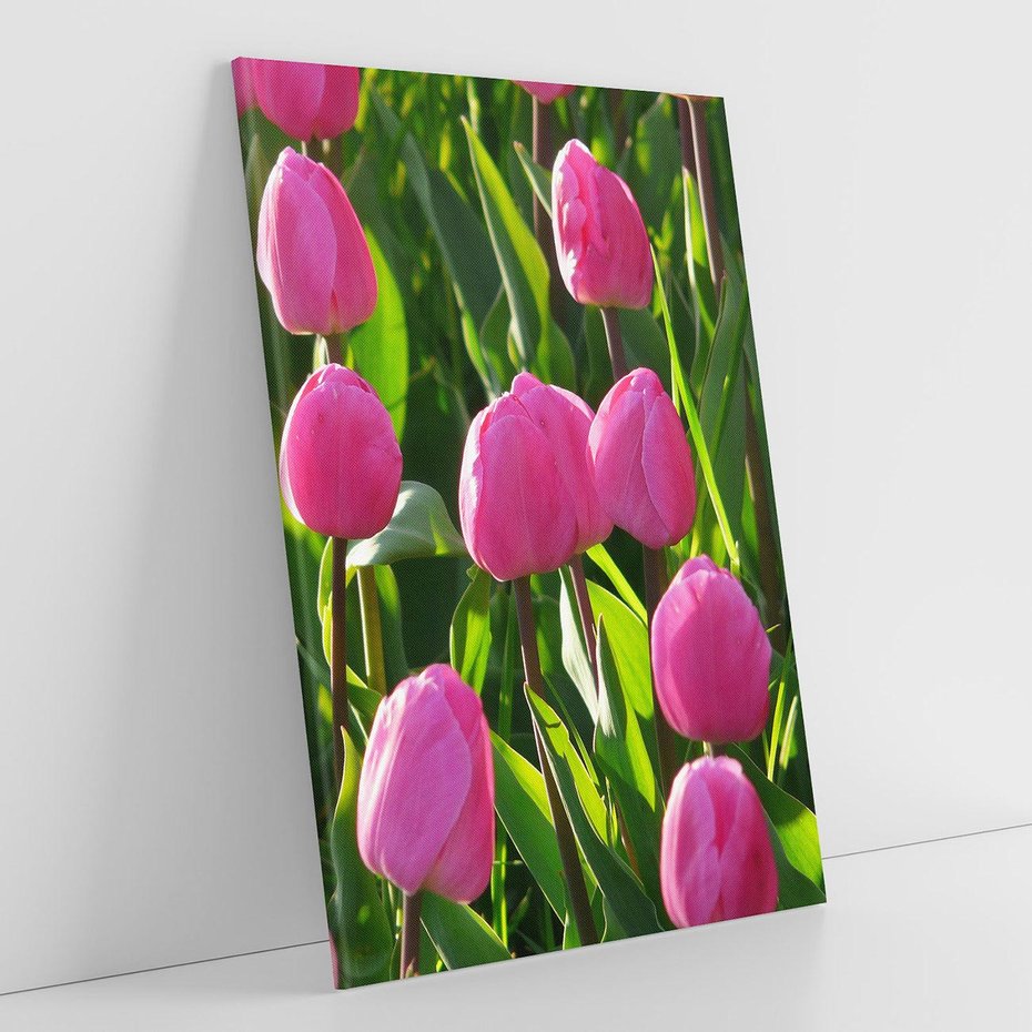 Obraz na płótnie 70x100 - Tulipanowa harmonia - tulipany, kwiaty