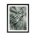 Plakat w ramie 50x70 - Palmy w Zgaszonej Zieleni - palmy, tropikalne liście - rama czarna