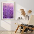 Plakat w ramie 30x40 - Fioletowa harmonia lawendy - lawenda, fiolet - rama drewno