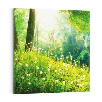 Obraz na płótnie 40x40 - Urok natury - magiczny las na płótnie - las, trawa