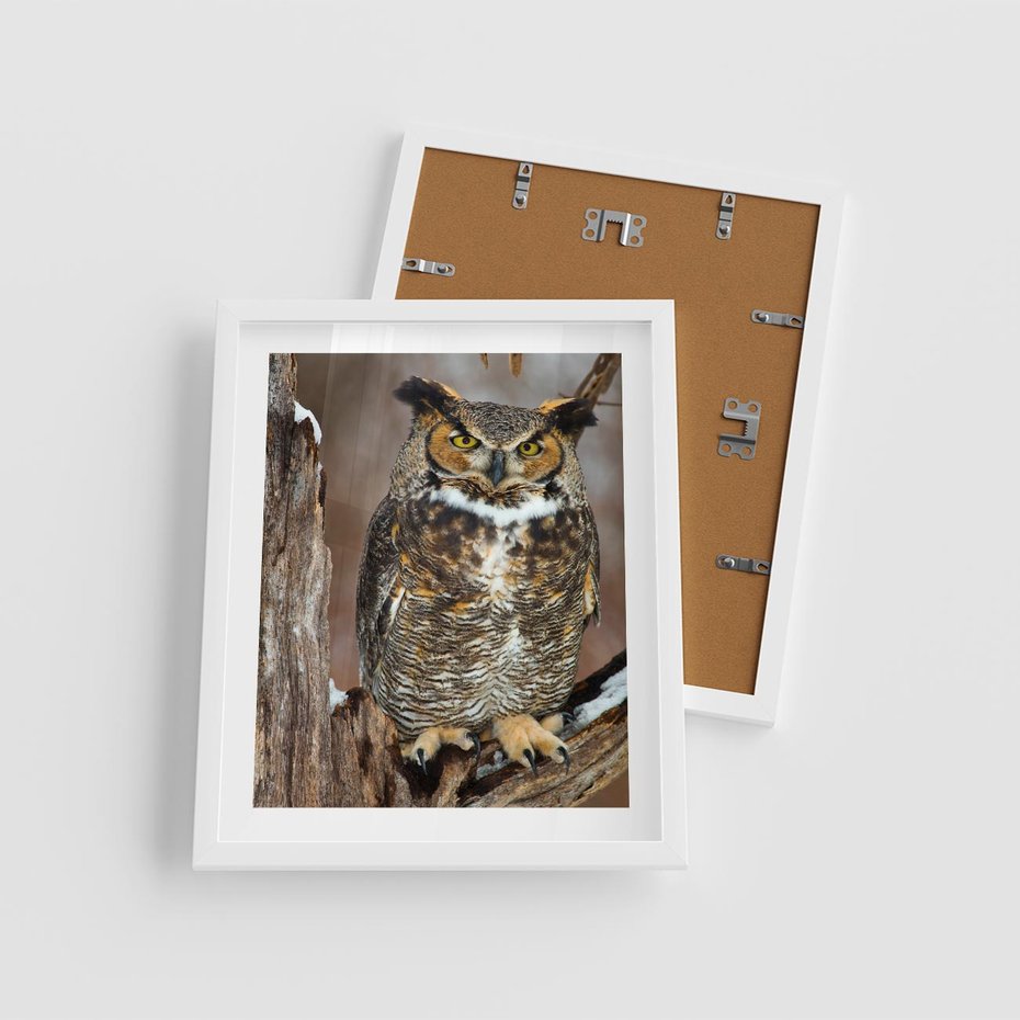 Plakat w ramie 40x50 - Tajemniczy Stróż - sowa, las - rama biała