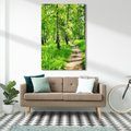Obraz na płótnie 80x120 - odkryj piękno drzew - las, drzewa