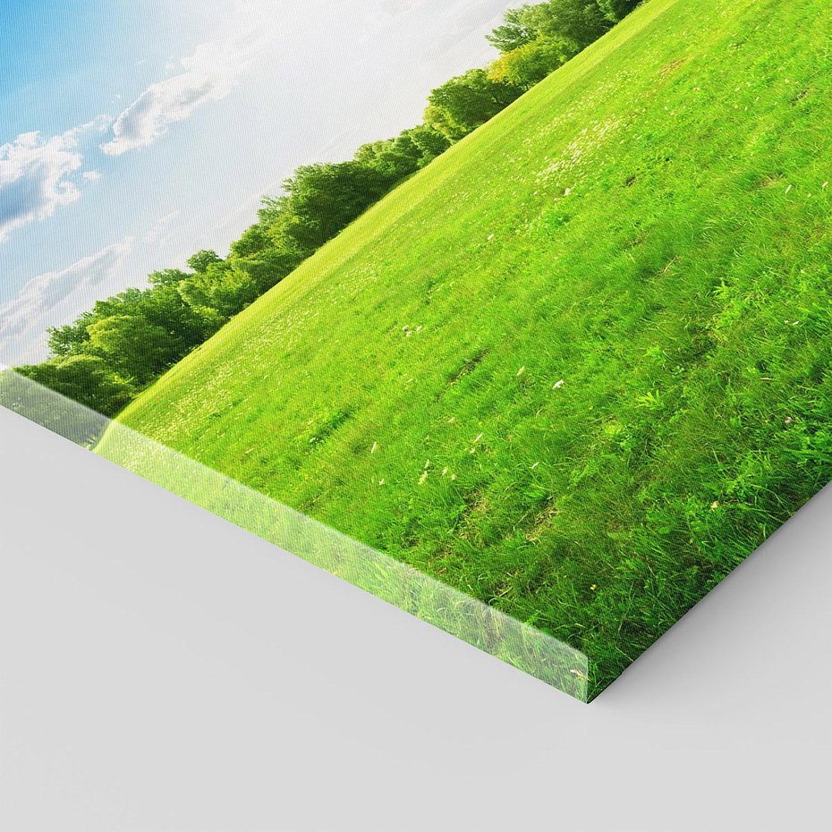 Obraz na płótnie 60x60 - Idylla na łące drzew - łąka, drzewa