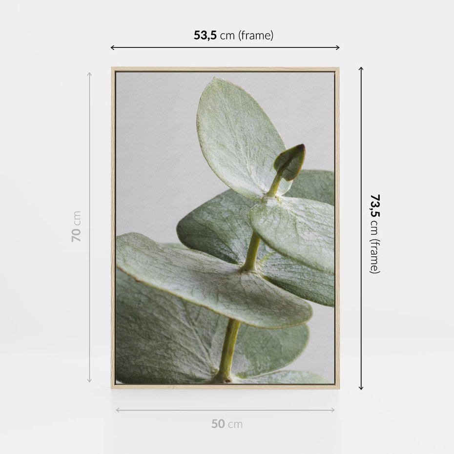 Obraz w ramie 50x70 - Eukaliptusowa zieleń - eukaliptus, zielone - rama drewno