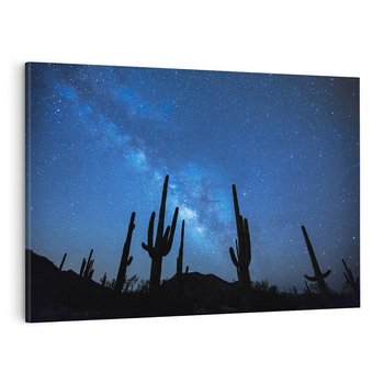 Obraz na płótnie 120x80 - Kaktusy - Niebo z gwiazdami - kaktusy, niebo