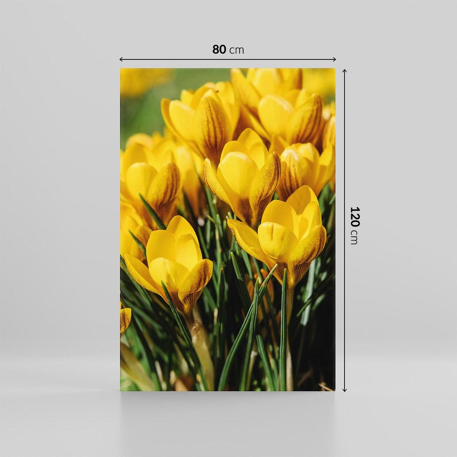 Obraz na płótnie 80x120 - Kwiatowe uniesienia natury - kwiat, kwiaty