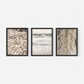 Zestaw obrazy w ramie 50x70 galeria - Plaża, boho, palmy, muszle, morze - rama czarna