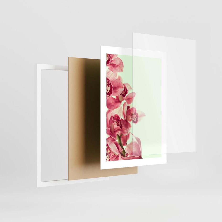 Plakat w ramie 30x40 - Orchidea - delikatne kwiaty - orchidea, kwiaty - rama biała