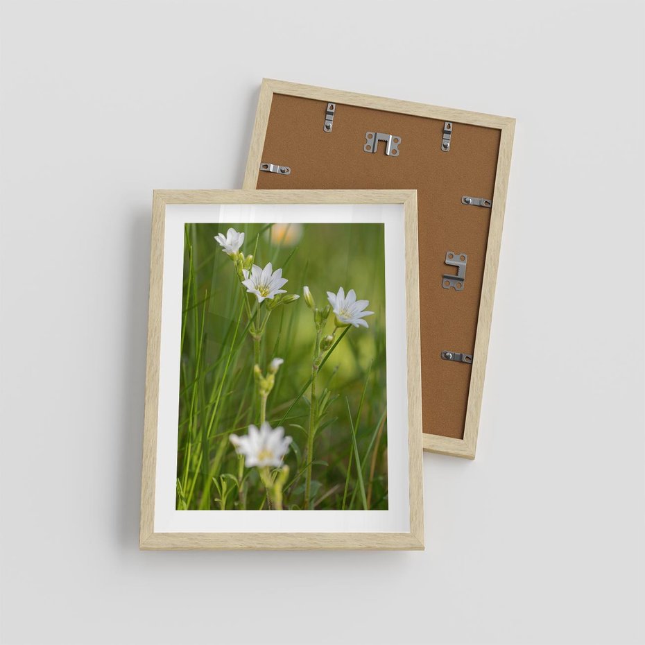 Plakat w ramie 30x40 - Kolorowa łąka - stokrotki, łąka - rama drewno