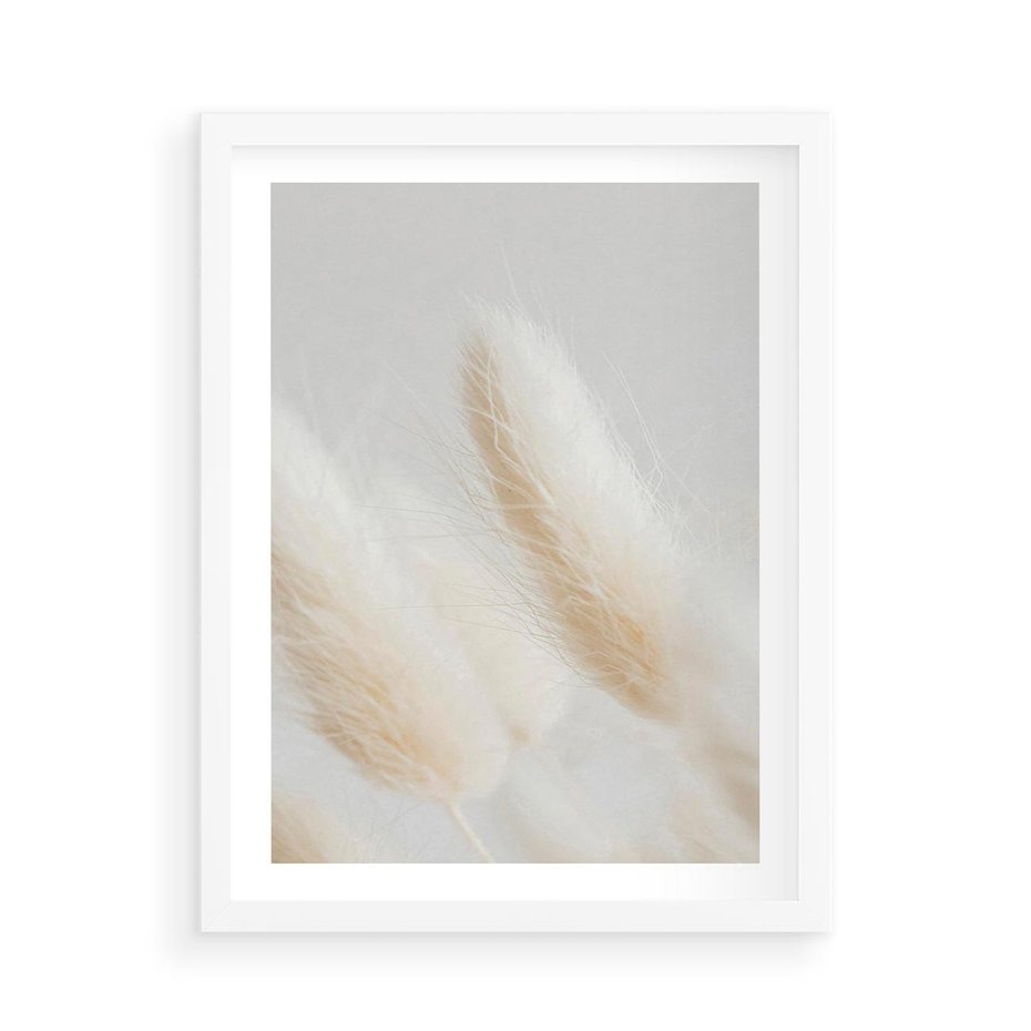 Plakat w ramie 50x70 - Czysty Minimalizm - białe trawy, minimalizm - rama biała