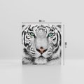 Obraz na płótnie 50x50 - Magia Białego Tygrysa - biały, tygrys