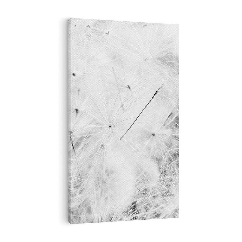 Obraz na płótnie 50x70 - Zdmuchnięty Puch - dmuchawce, delikatne