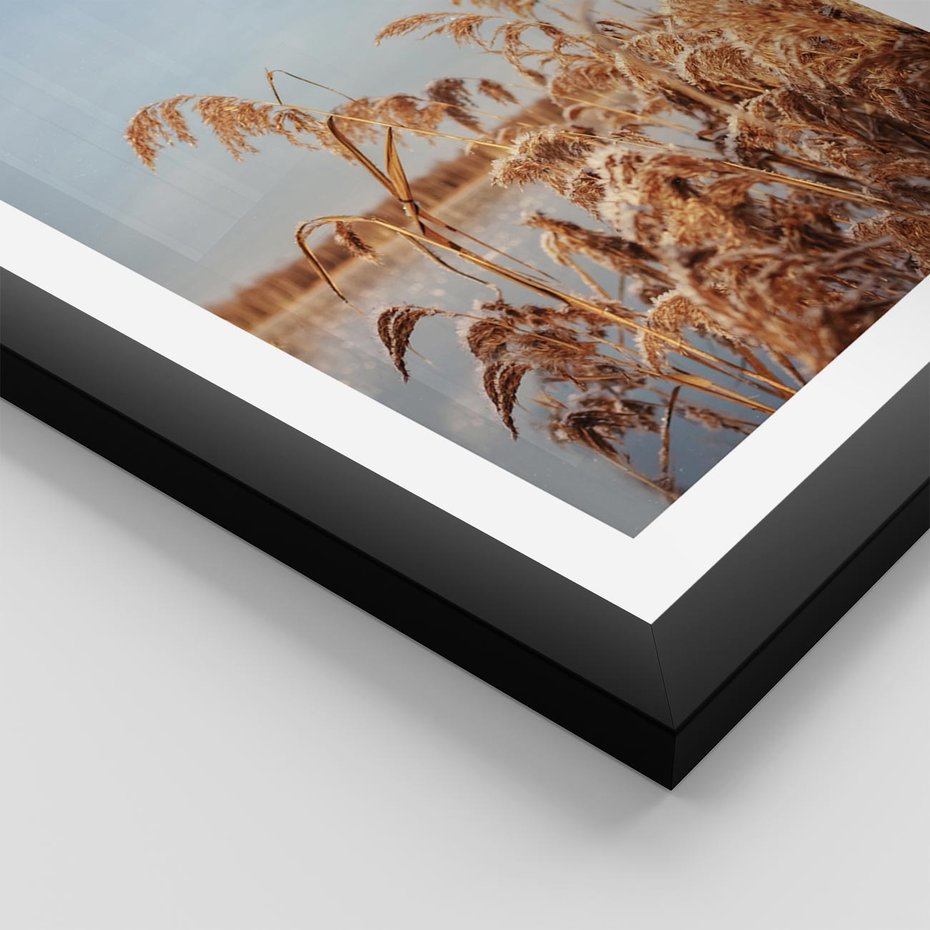 Plakat w ramie 30x40 - Wyraz Stylu - trawy, boho - rama czarna
