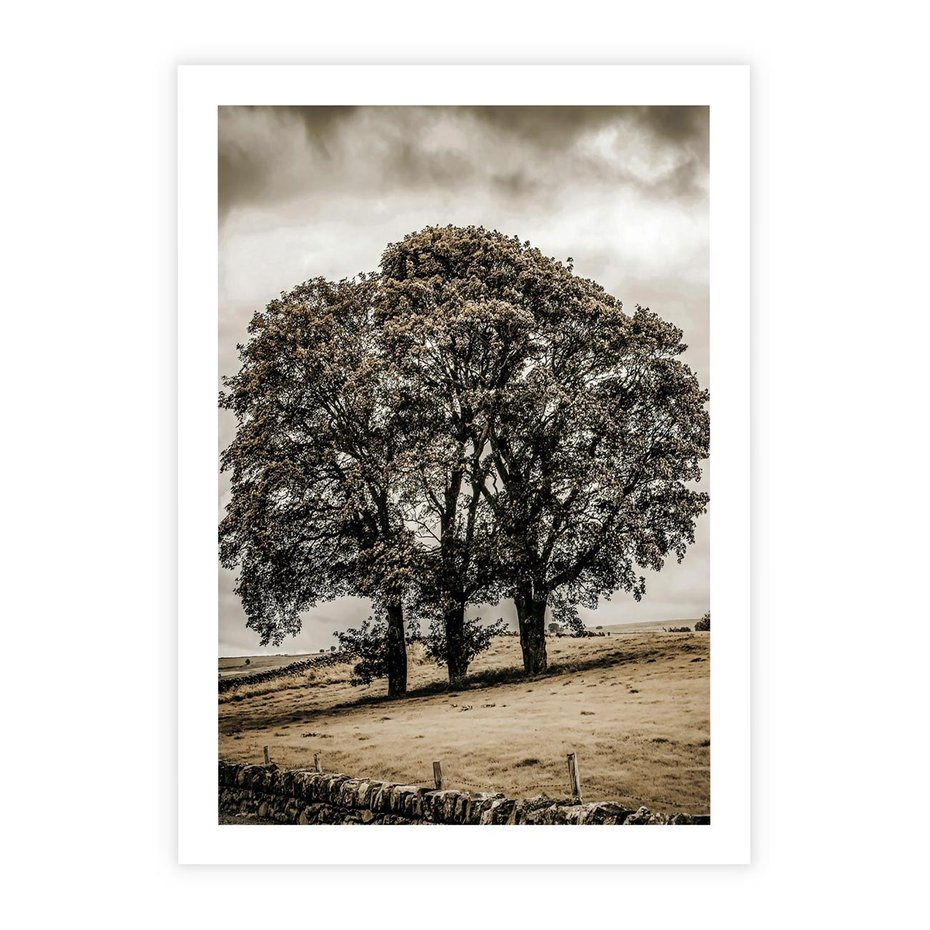 Plakat bez ramy 40x50 - Spokojna Osamotniona Chwila - beżowe kolory, samotne drzewo na polu