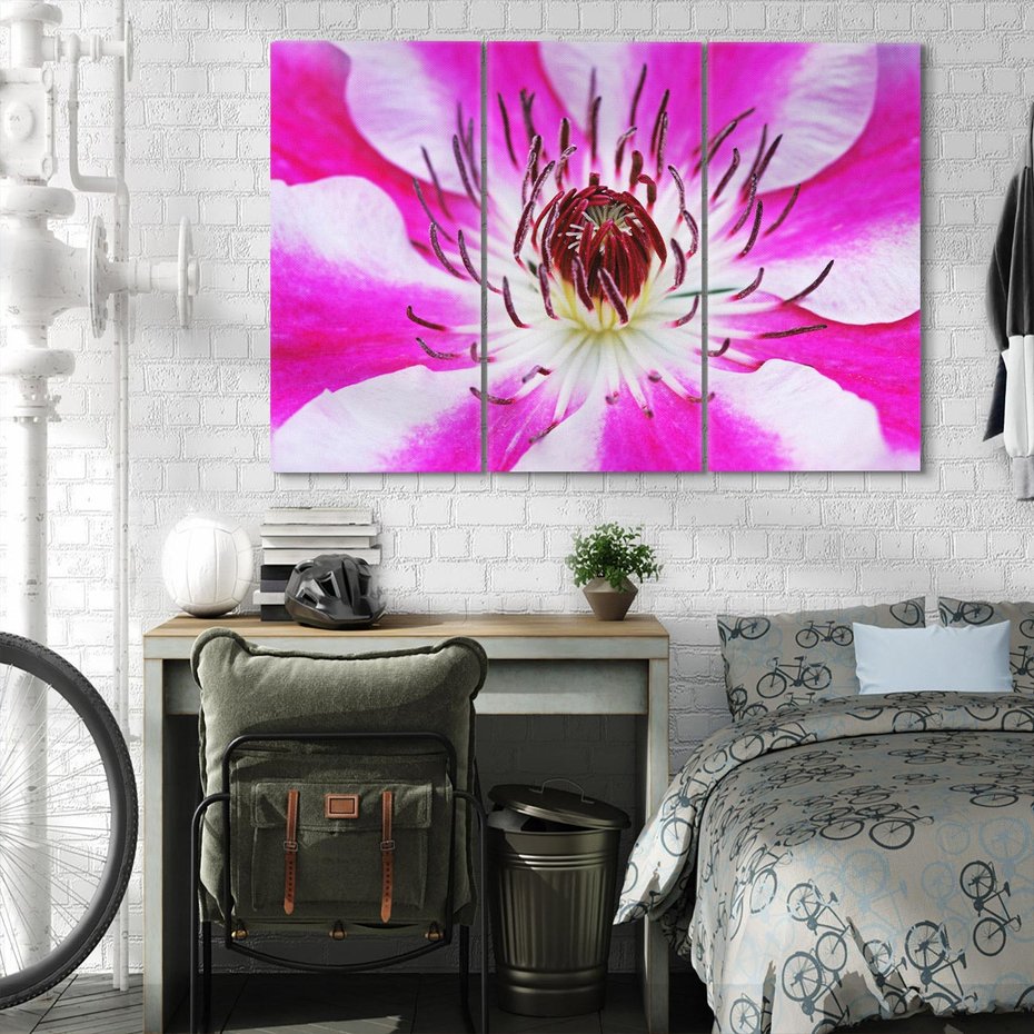 Obraz na płótnie 120x80 - delikatność natur - kwiat, kwiaty