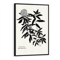 Obraz w ramie 50x70 - Szept kwiatowej wyobraźni - czarno biała grafika, roślinność - rama czarna