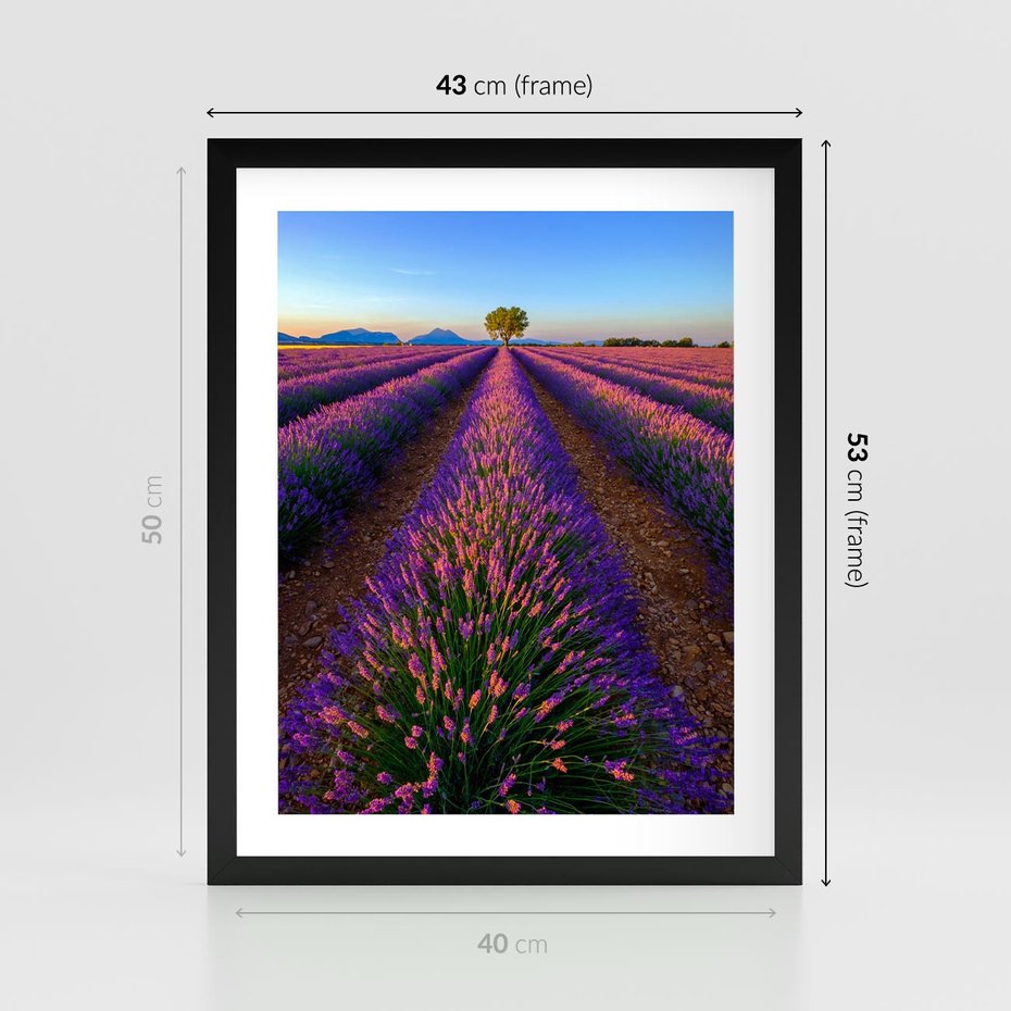 Plakat w ramie 40x50 - Fioletowa Magia - pole, lawendy - rama czarna