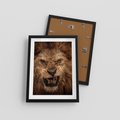 Plakat w ramie 30x40 - Władca Sawanny - lew, sawanna - rama czarna