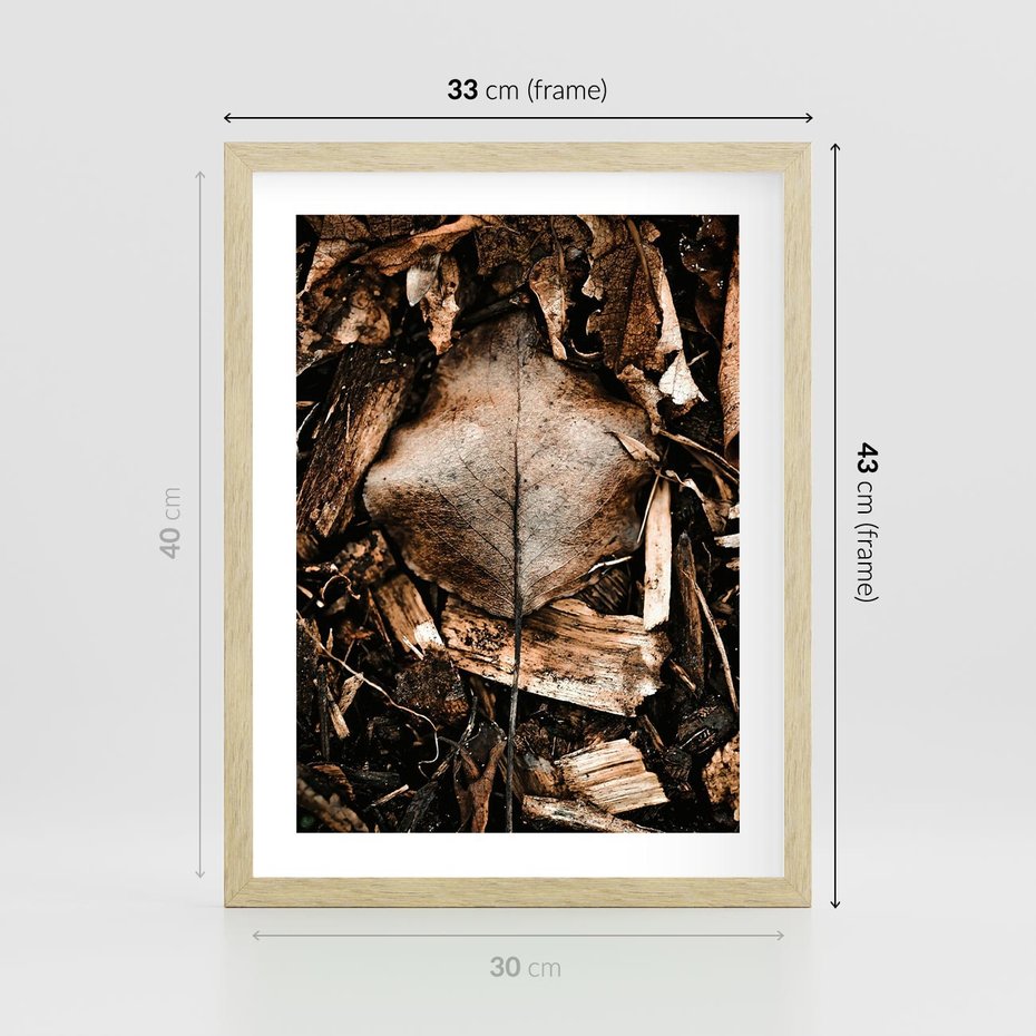 Plakat w ramie 30x40 - Samotny Liść - liść, brąz - rama drewno