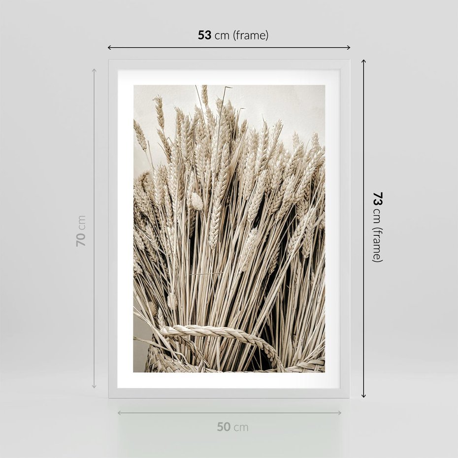 Plakat w ramie 50x70 - Letni Plon - zboże, kłosy zboża - rama biała