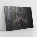 Obraz na płótnie 120x80 - Jeleń wśród lasu - jeleń, las