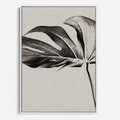 Obraz w ramie 70x100 - Szepczący Liść - szkic, czarno biały - rama biała
