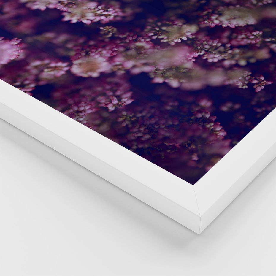 Zestaw obrazy w ramie 50x70 galeria - Wrzosy, lawenda, zachód, słońca - rama biała