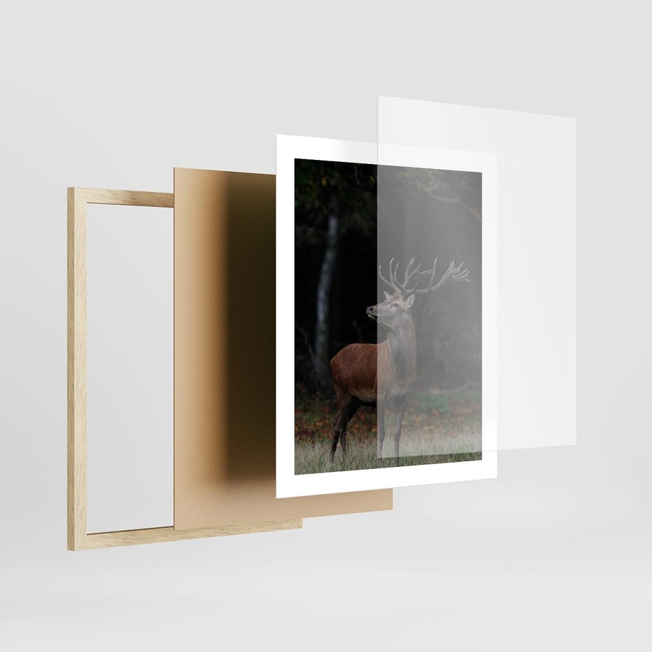 Plakat w ramie 40x50 - Spotkanie z naturą - jeleń, las - rama drewno