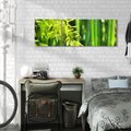 Obraz na płótnie 120x40 - Spokój bambusowego lasu SPA - bambus, drzewa