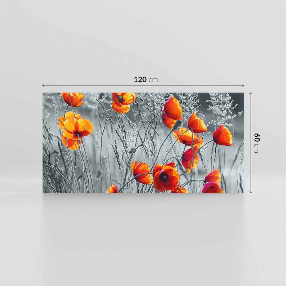 Obraz na płótnie 120x60 - Malownicza łąka - maki, mak
