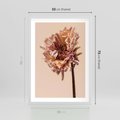 Plakat w ramie 50x70 - Delikatne piękno - suche, kwiaty - rama biała