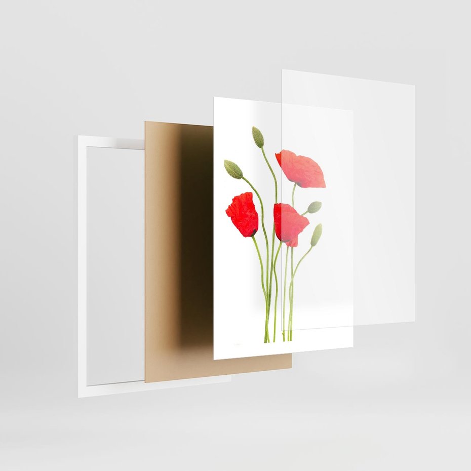 Plakat w ramie 50x70 - Pola maków w pełnym kolorze - maki, kwiaty - rama biała