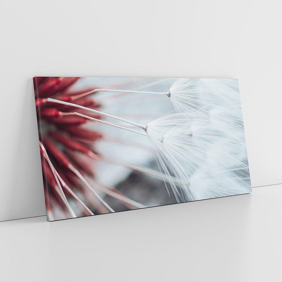 Obraz na płótnie 120x60 - Makro świat dmuchawca - dmuchawiec, makro