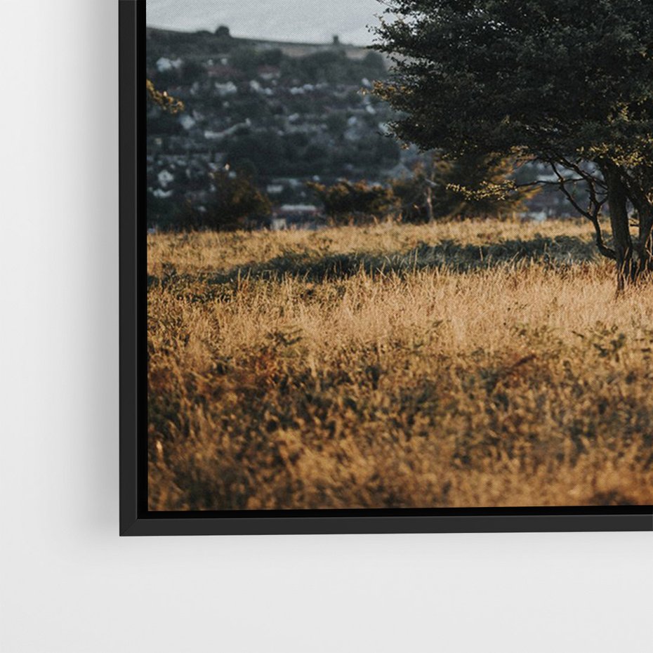 Obraz w ramie 50x70 - Siła Natury - drzewo, pejzaż - rama czarna