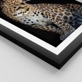 Plakat w ramie 30x40 - Elegancja Jaguarowej Pantery - jaguar, pantera - rama czarna