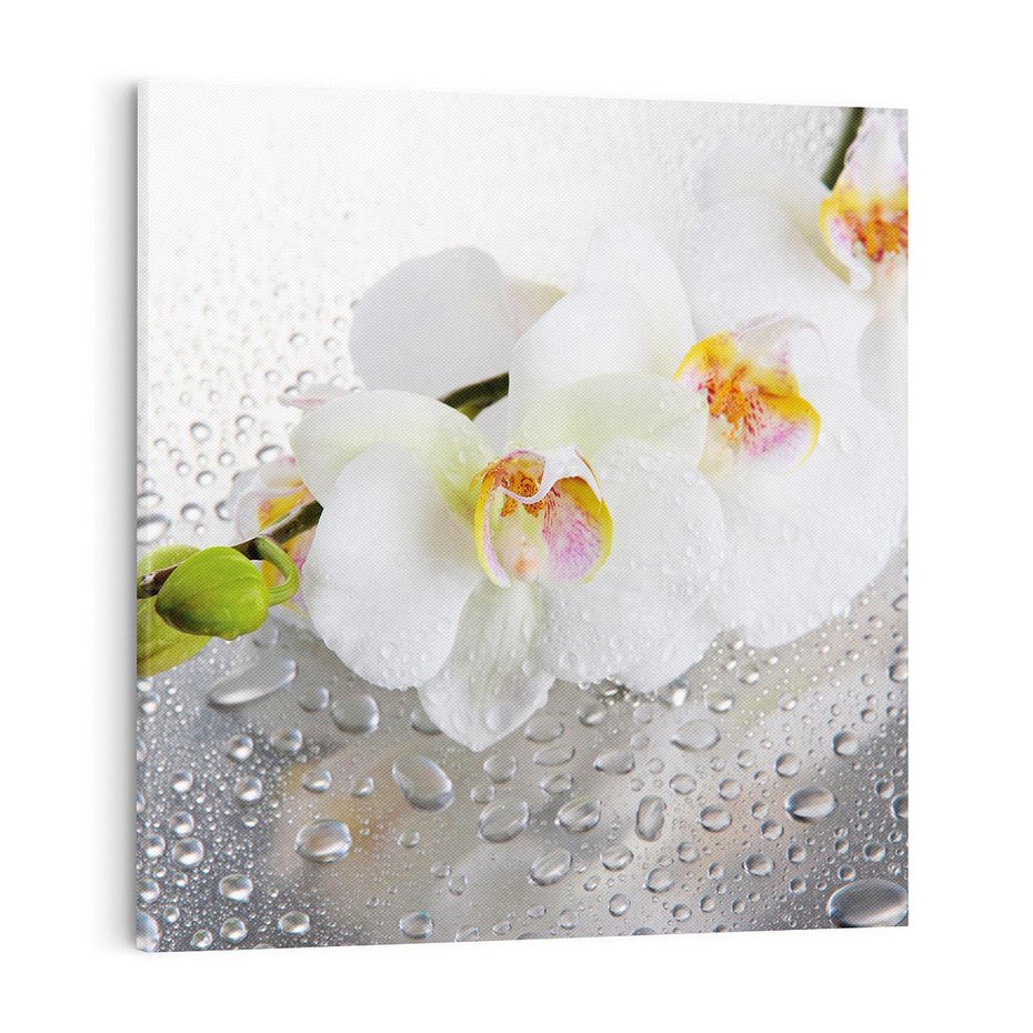 Obraz na płótnie 70x70 - Kwiatowy rój - kwiaty, kwiat