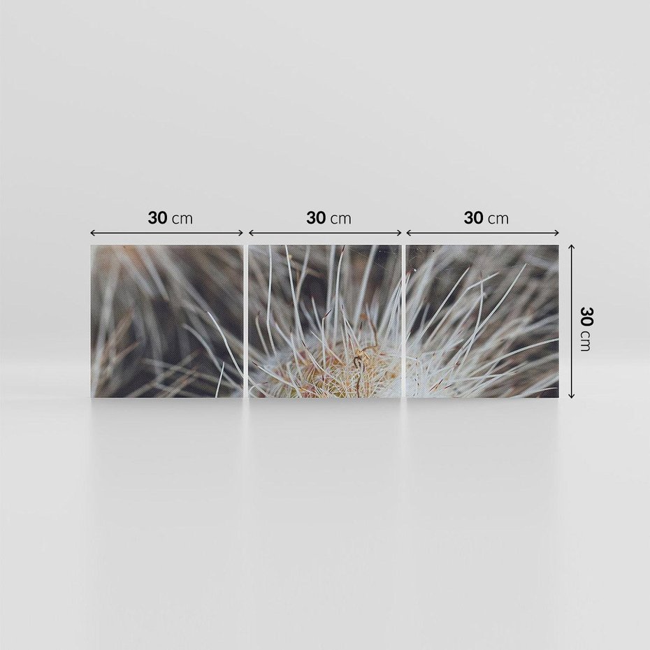 Obraz na płótnie 90x30 - Ulotna Piękność Natury - makro, dmuchawce