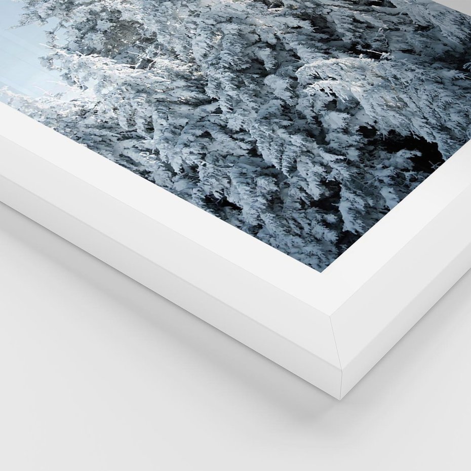 Plakat w ramie 30x40 - Magia Śnieżnych Drzew - zima, iglaste drzewa - rama biała