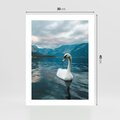 Plakat bez ramy 30x40 - Łabędzi Śpiew - fotografia, plakat