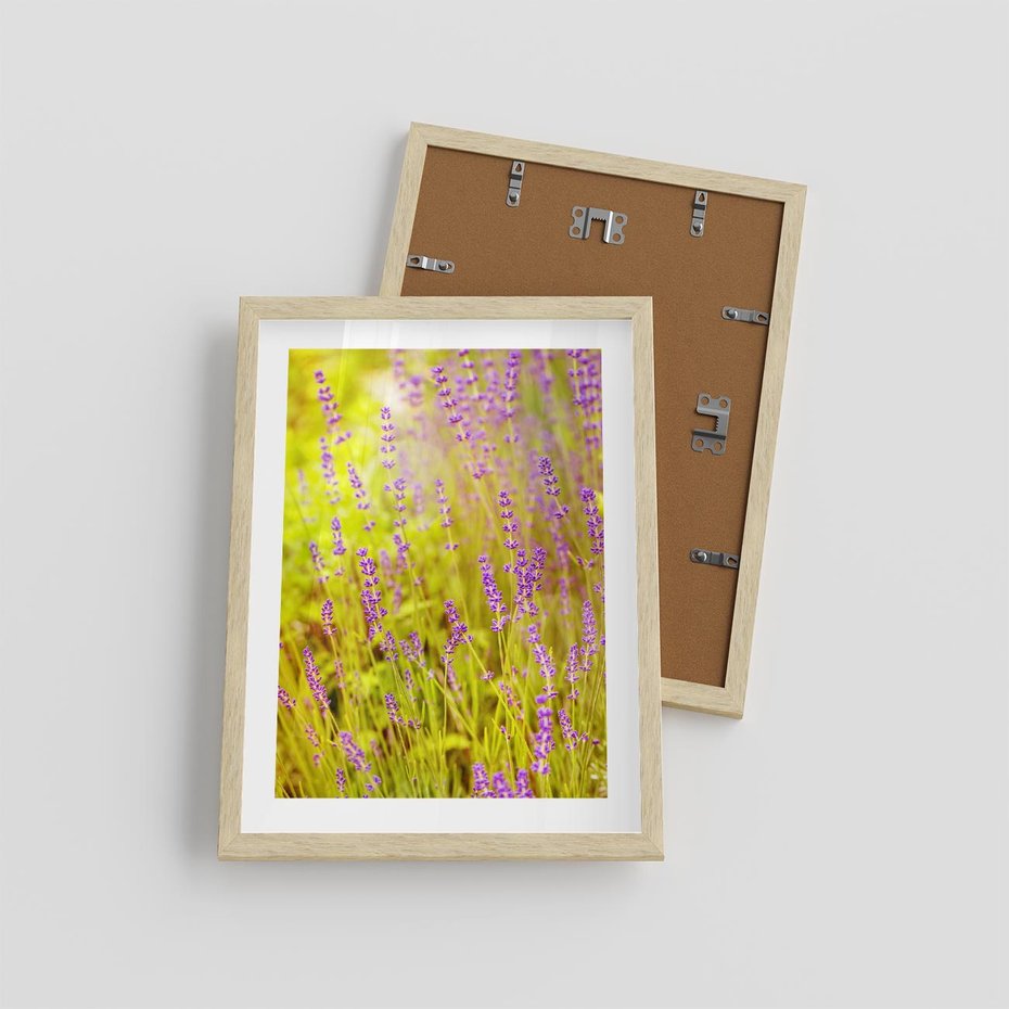 Plakat w ramie 30x40 - Delikatność natury - lawenda, kwiaty - rama drewno