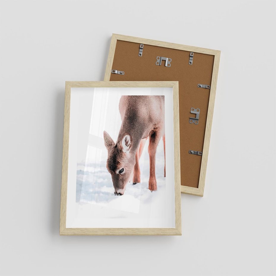 Plakat w ramie 30x40 - Sarna w Zimowym Raju - sarna, na śniegu - rama drewno