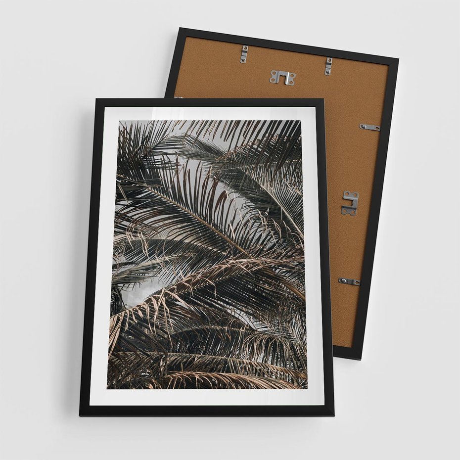Plakat w ramie 50x70 - Liściaste Palmy - palmy, drzewa palmowe - rama czarna