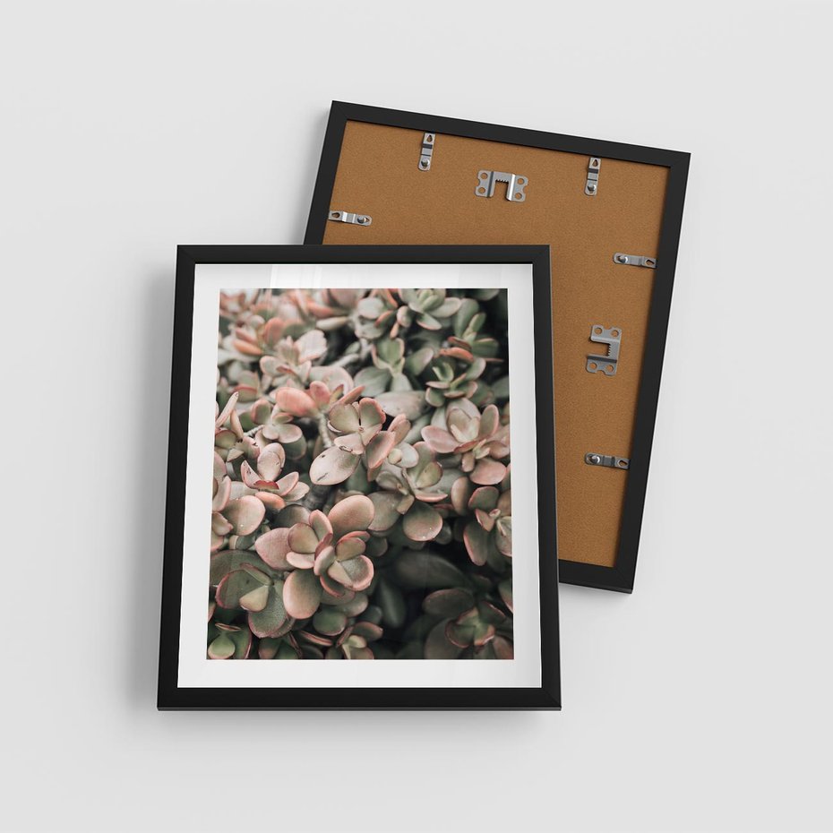 Plakat w ramie 40x50 - Sukulentowa Prostota - sukulenty, zielone liście - rama czarna